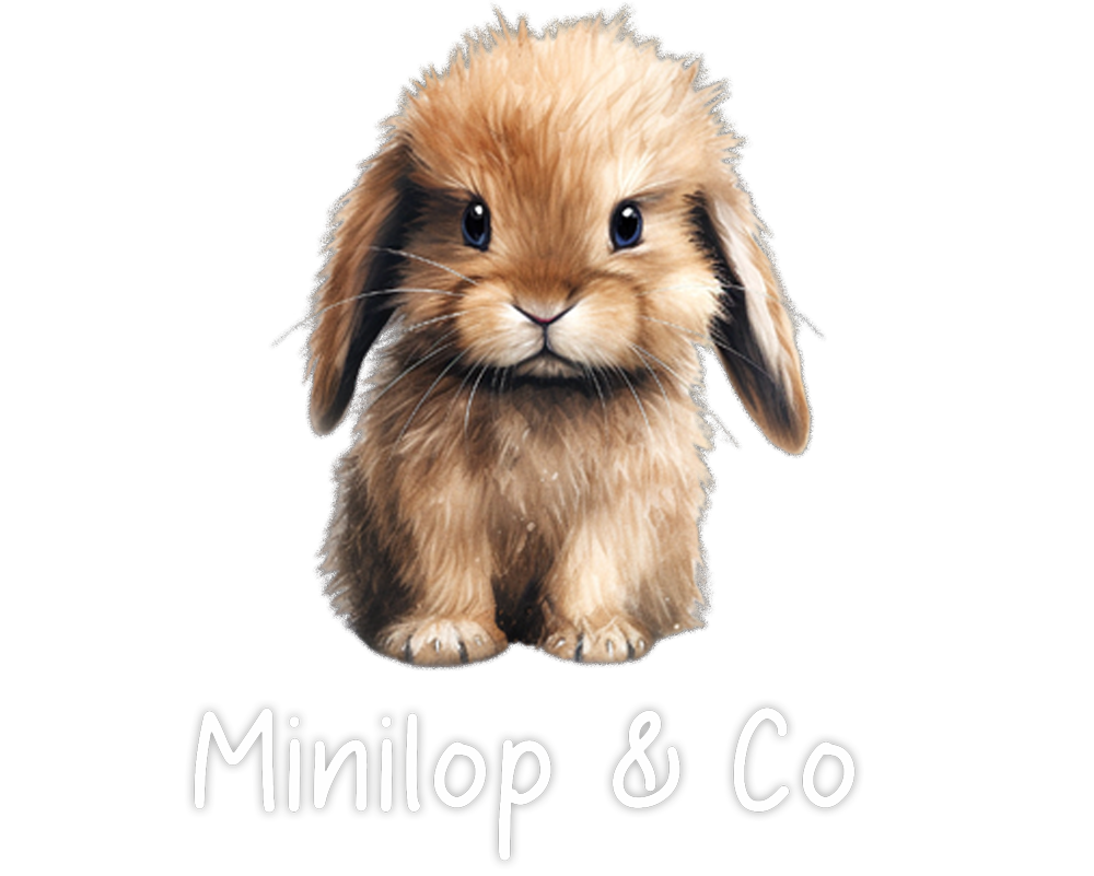 Coniglietti Mini Lop